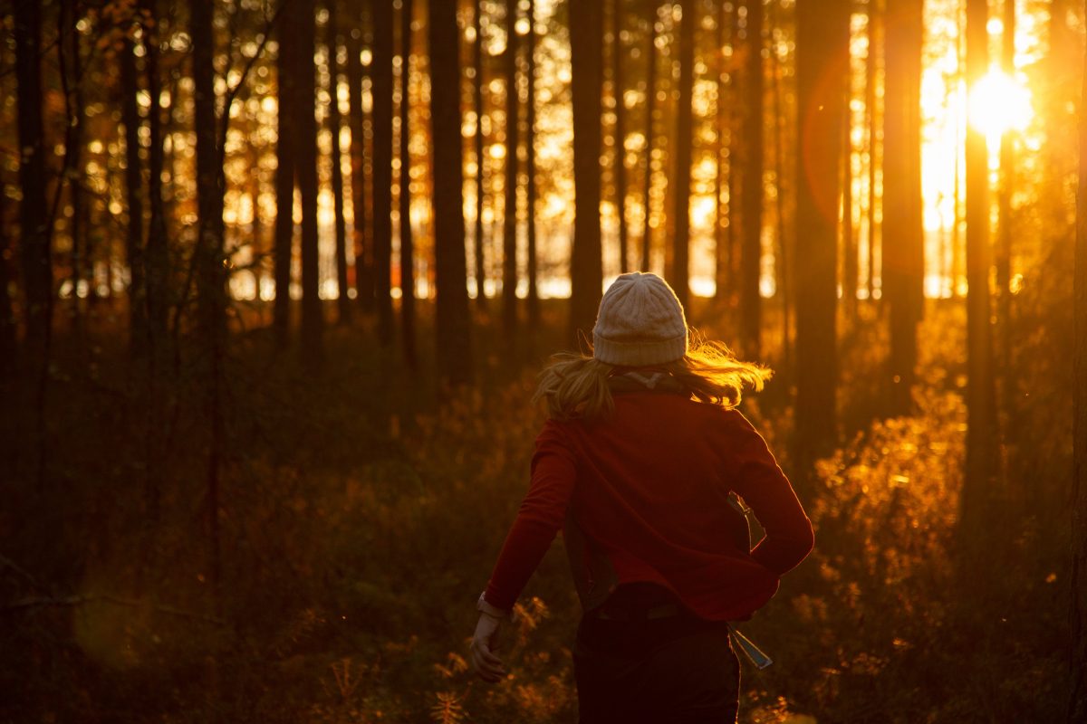 Partiolainen auringonlaskun värjäämässä metsässä